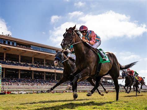 jeff siegel metal box|jeff siegel horse race picks.